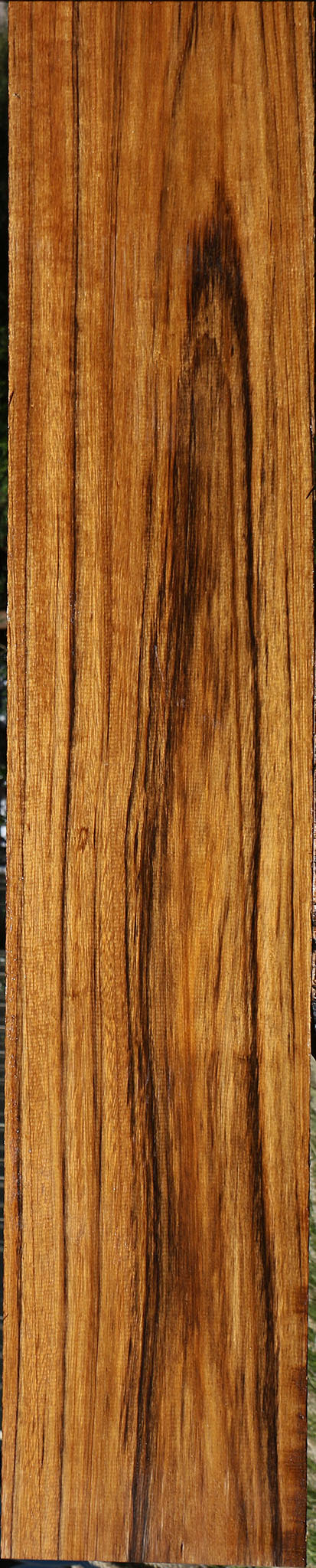 Amazique Lumber