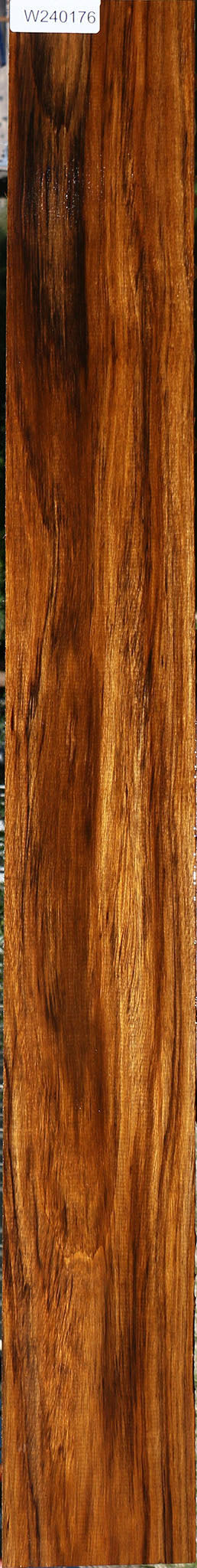 Figured Amazique Lumber