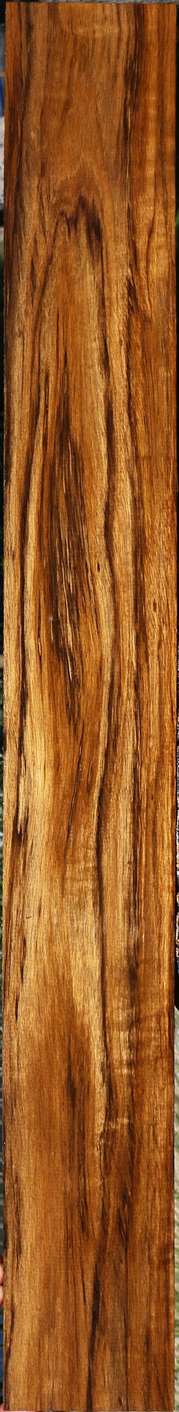 Figured Amazique Lumber