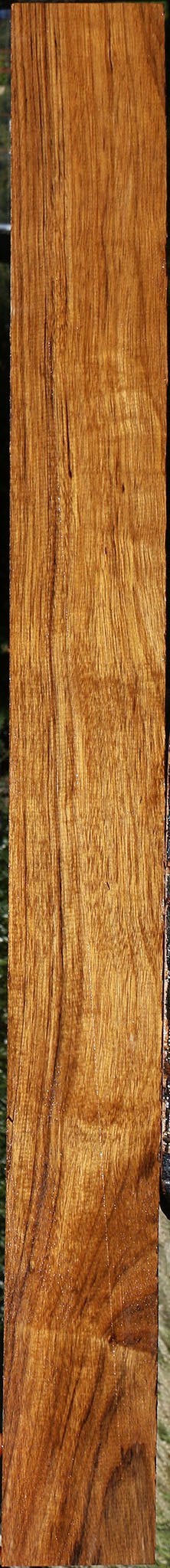 Figured Amazique Lumber