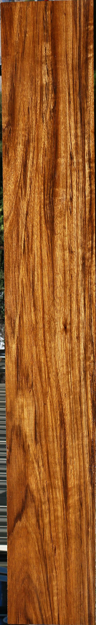 Figured Amazique Lumber