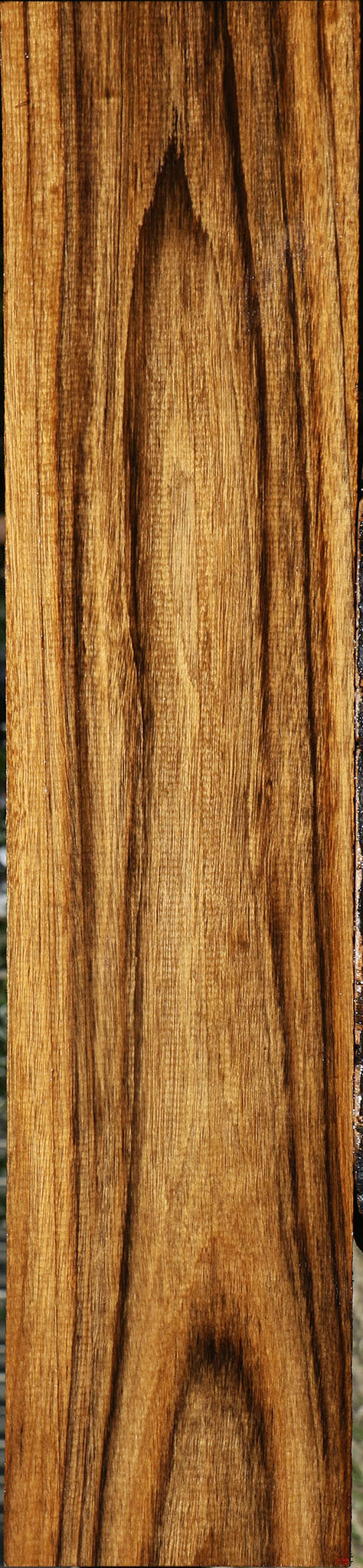 Amazique Lumber