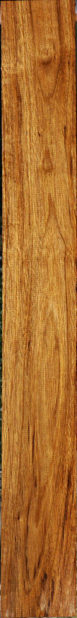 Amazique Lumber