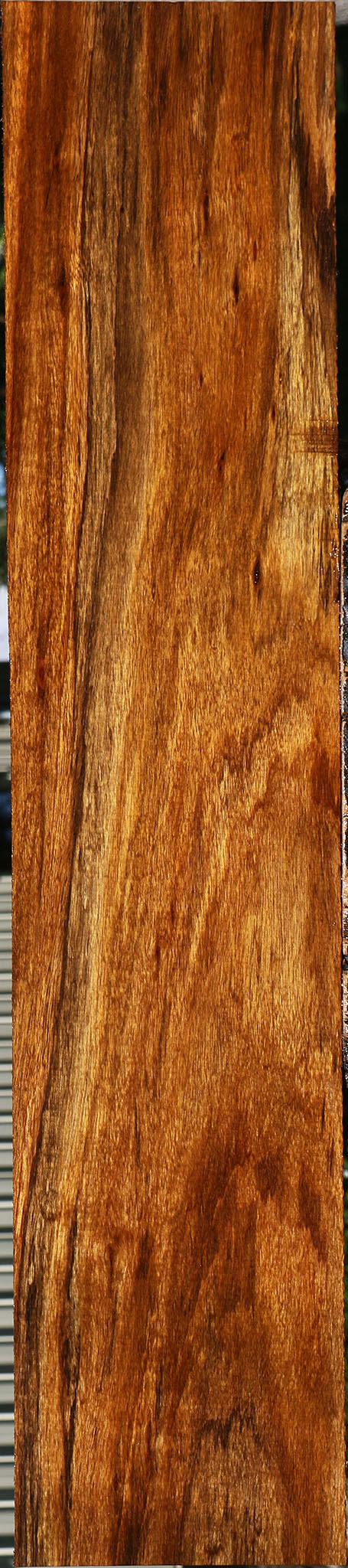 Figured Amazique Lumber