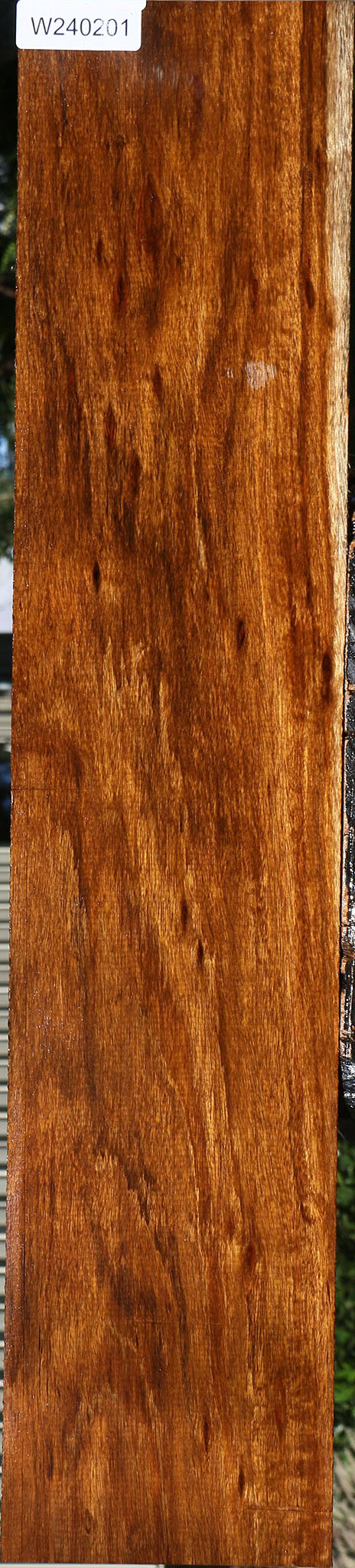 Figured Amazique Lumber