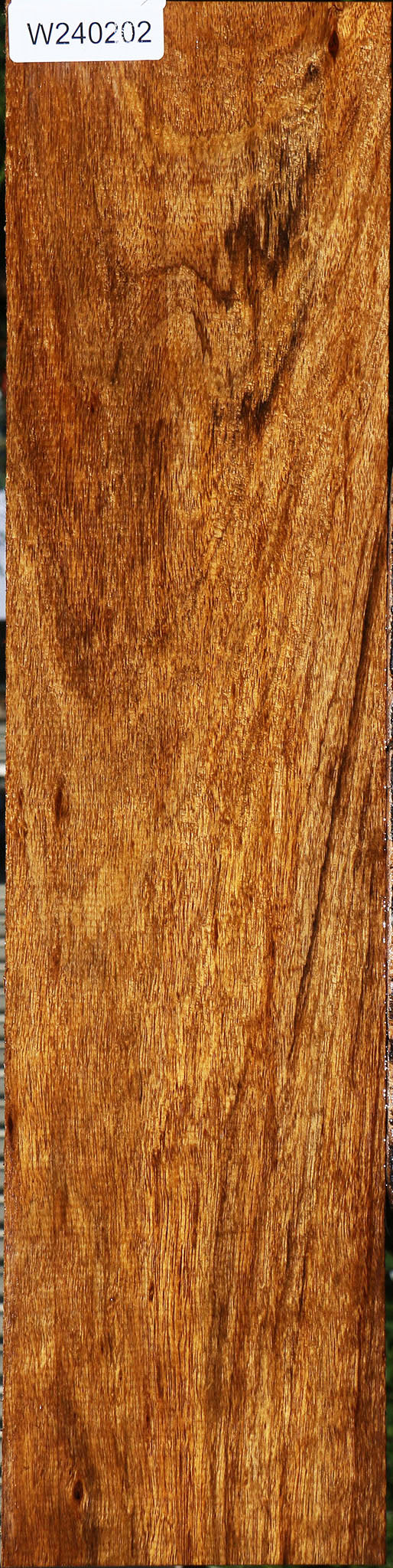 Amazique Lumber