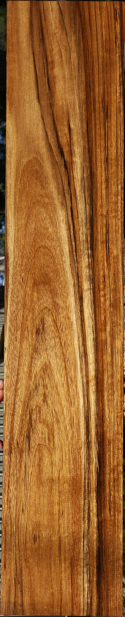 Figured Amazique Lumber