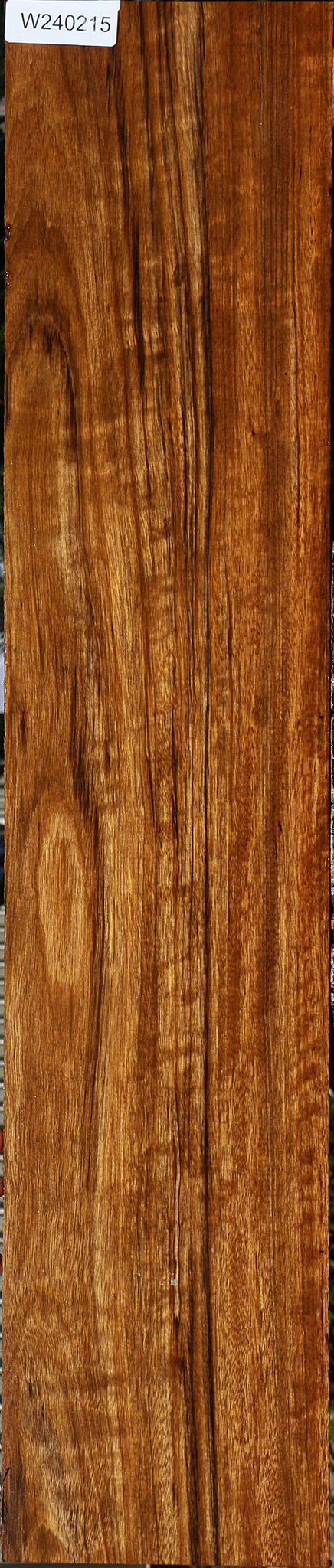 Figured Amazique Lumber