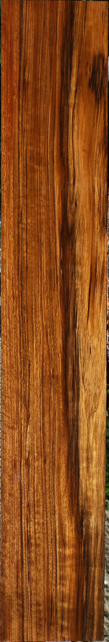 Figured Amazique Lumber