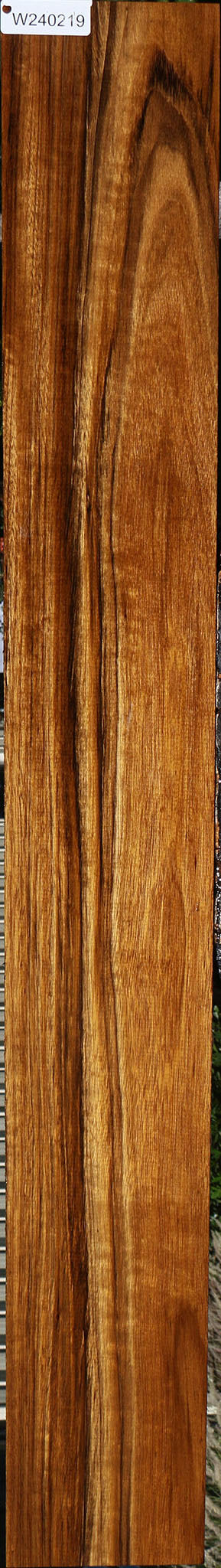 Extra Fancy Amazique Lumber