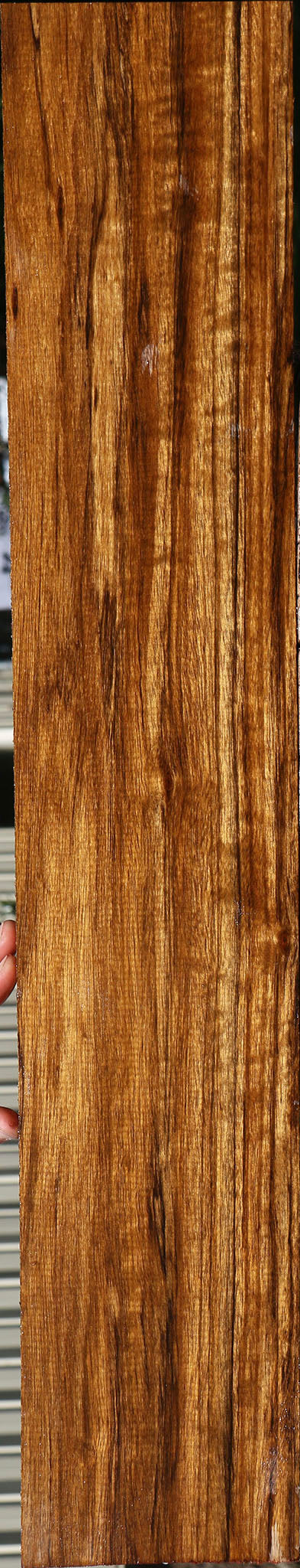 Figured Amazique Lumber