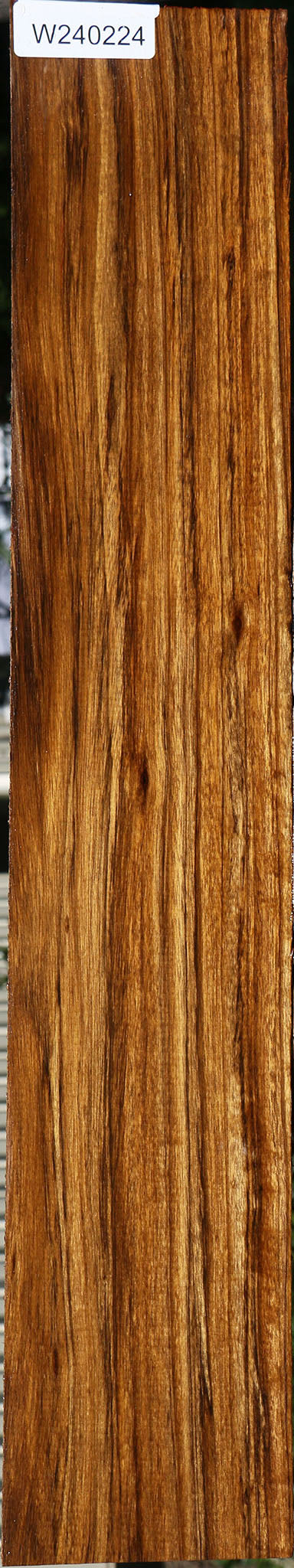 Figured Amazique Lumber