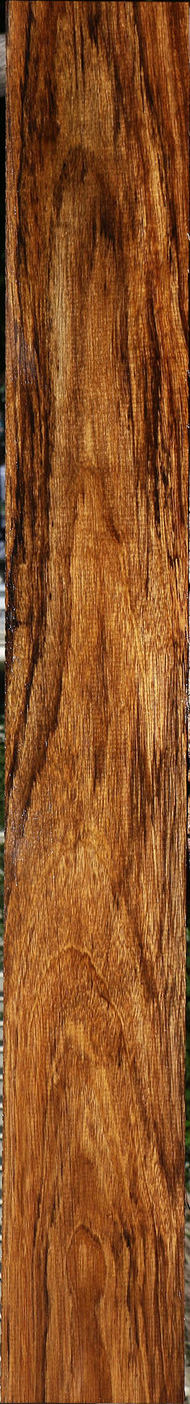 Figured Amazique Lumber