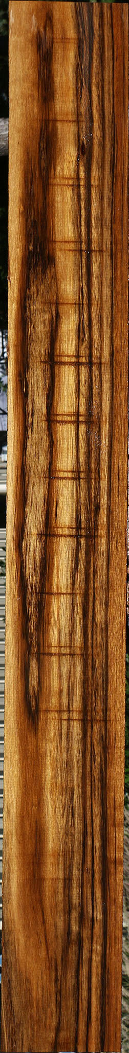 Figured Amazique Lumber