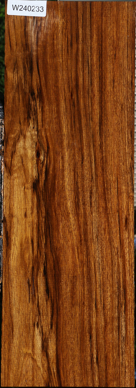 Figured Amazique Lumber