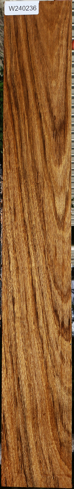 Amazique Lumber
