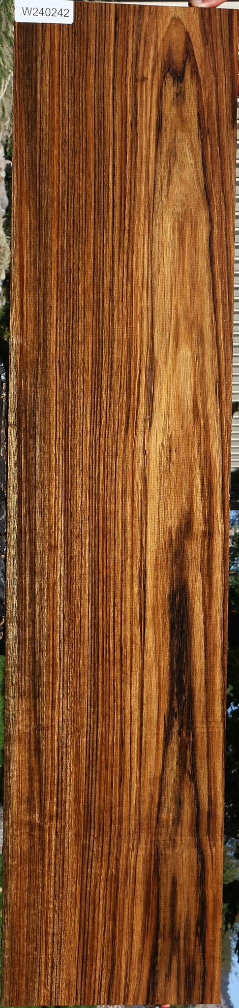 Amazique Lumber