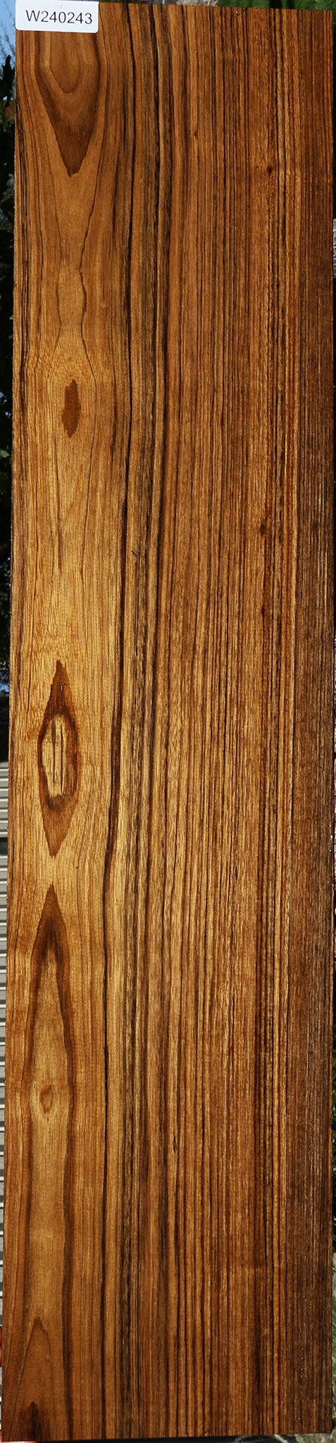 Amazique Lumber