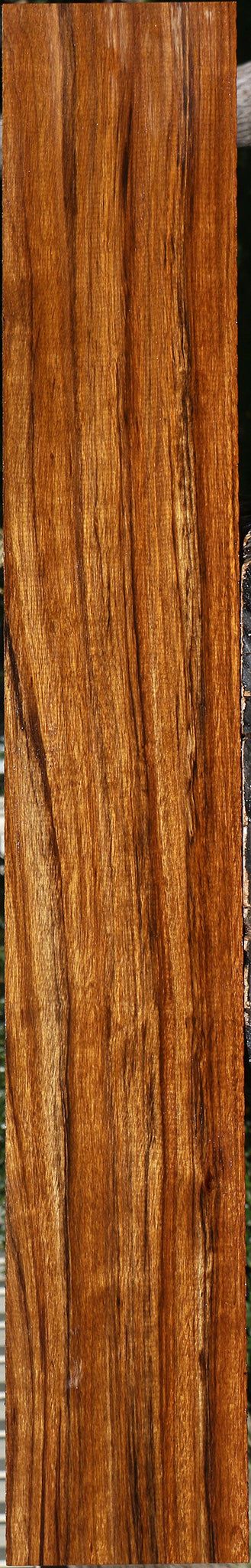 Figured Amazique Lumber