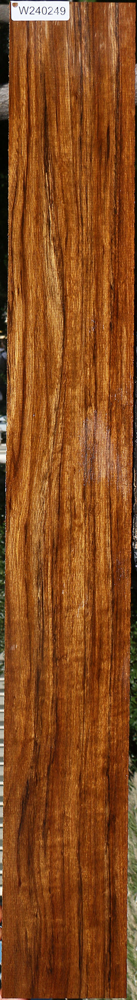 Figured Amazique Lumber