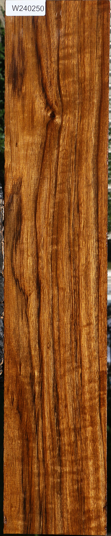 Figured Amazique Lumber