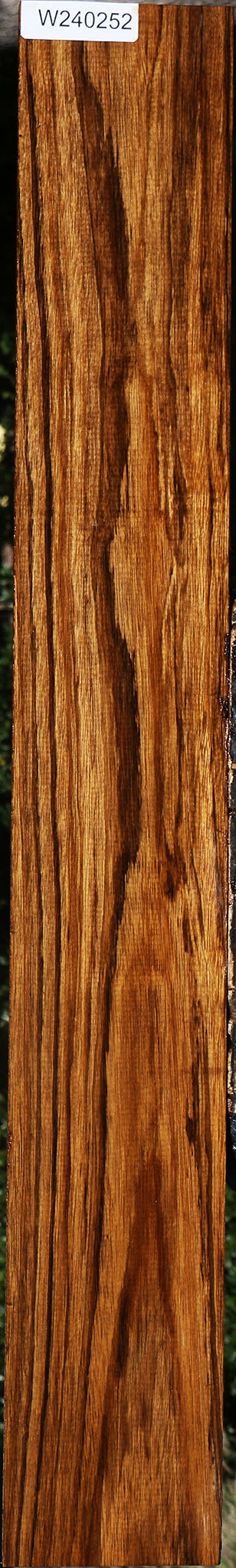 Figured Amazique Lumber