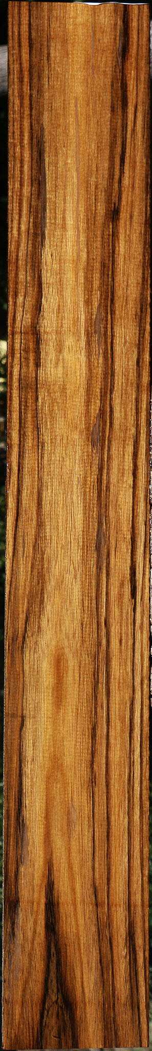 Figured Amazique Lumber