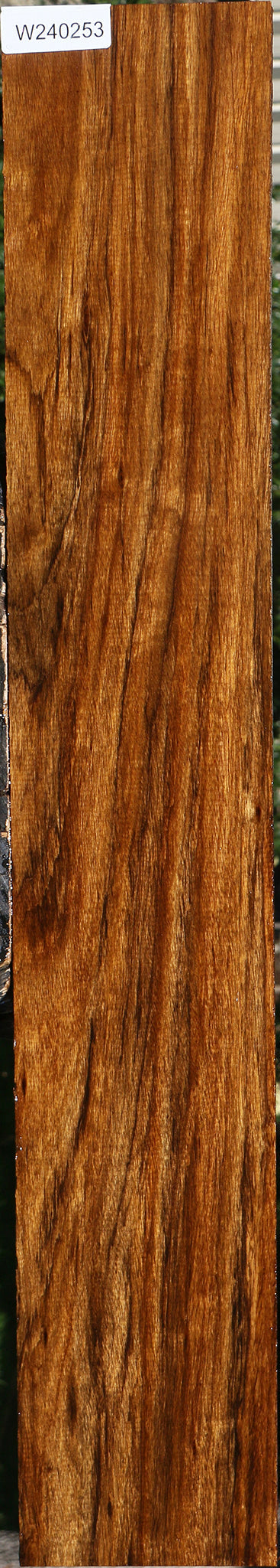Amazique Lumber