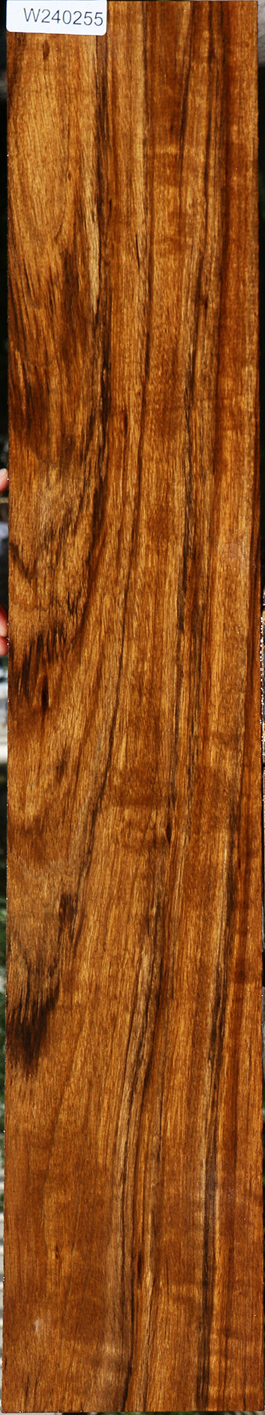 Figured Amazique Lumber