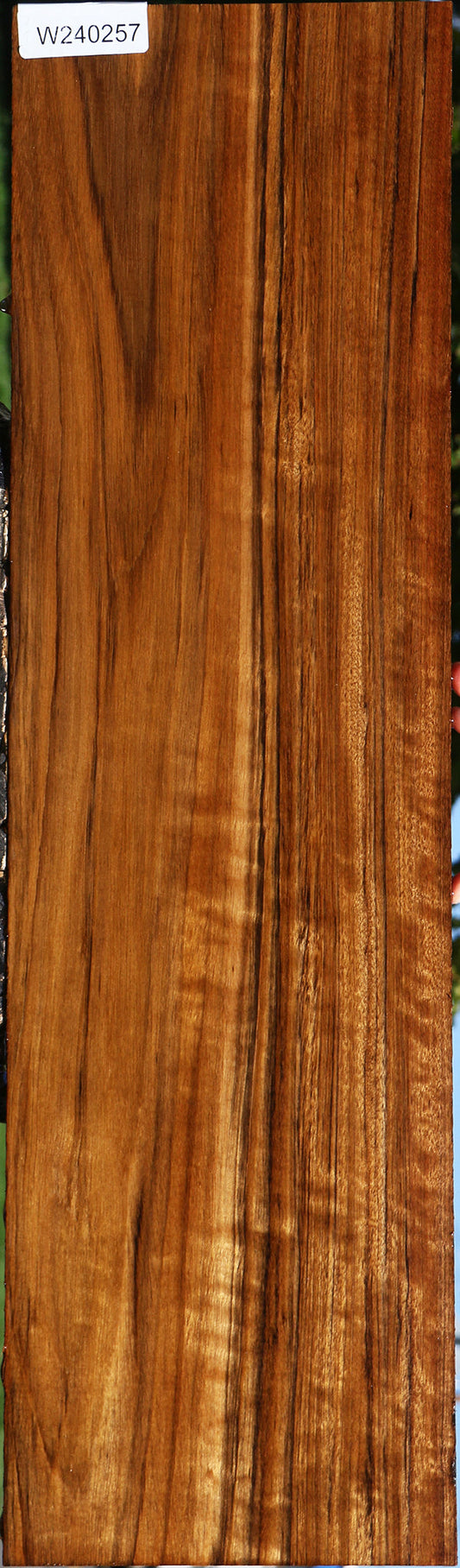 Extra Fancy Amazique Lumber