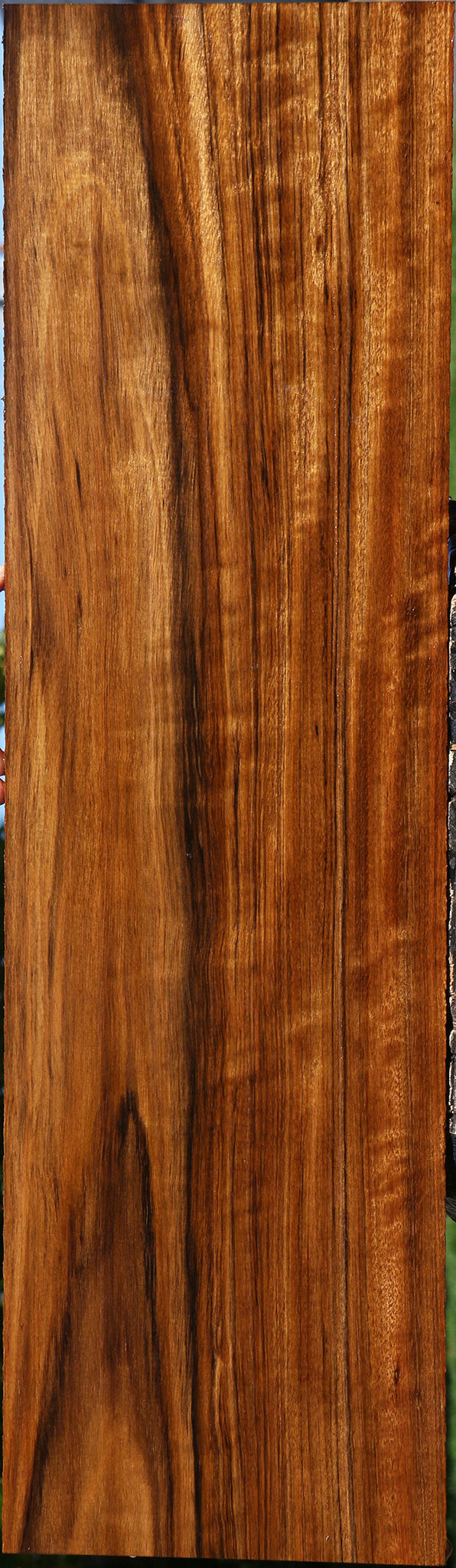 Extra Fancy Amazique Lumber