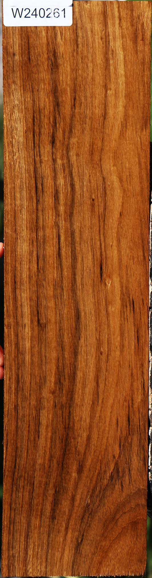 Figured Amazique Lumber