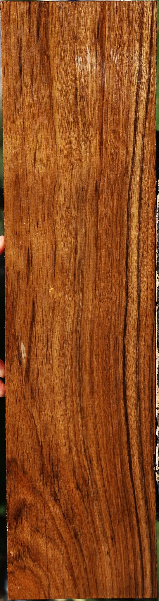 Figured Amazique Lumber