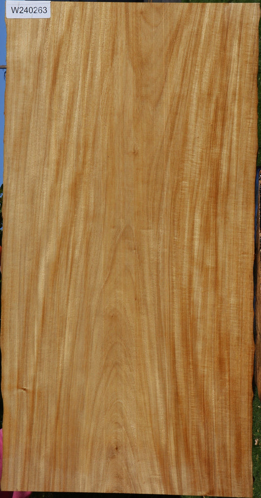 Primavera Live Edge Micro Lumber