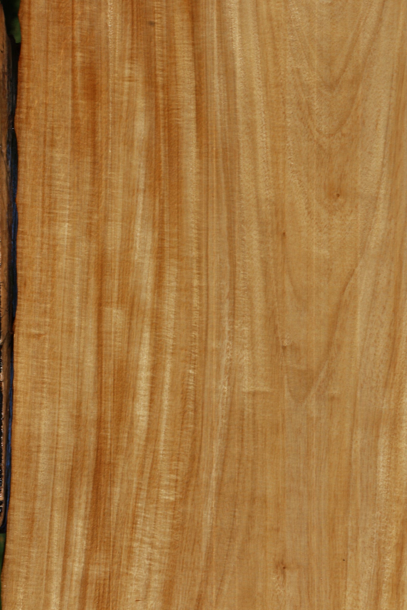 Primavera Live Edge Micro Lumber