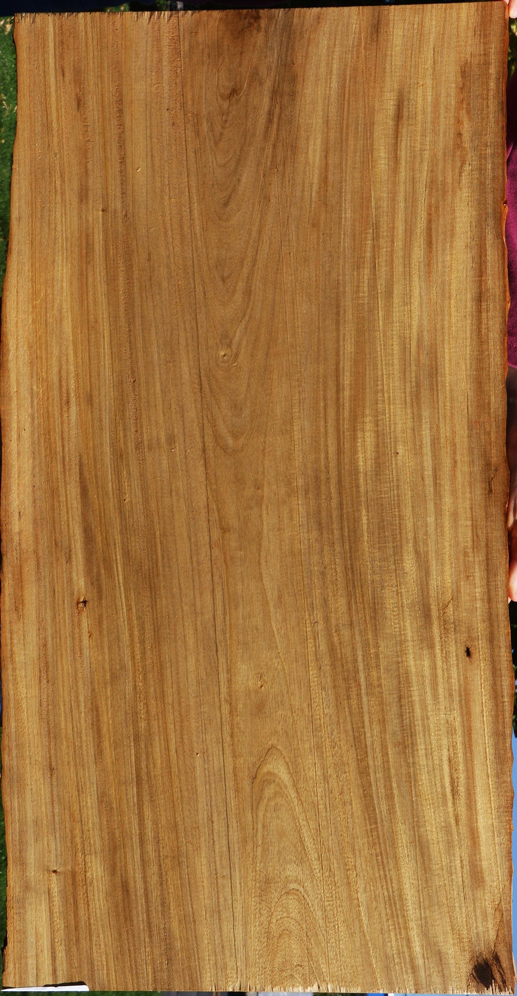 Primavera Live Edge Micro Lumber