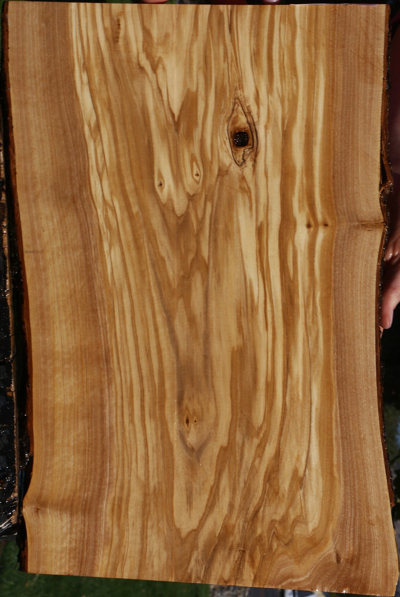 Olive Live Edge Micro Lumber