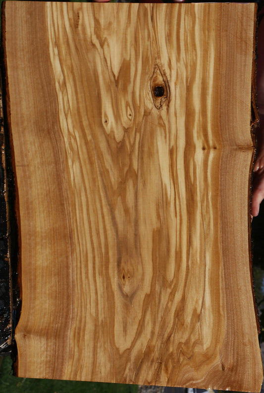 Olive Live Edge Micro Lumber