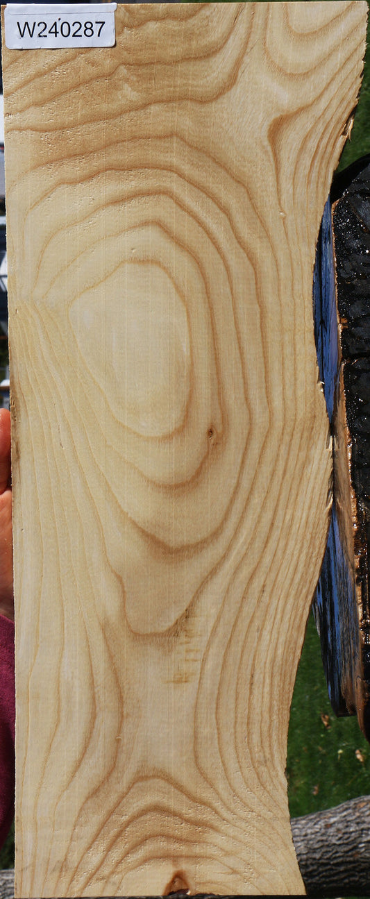 Modesto Ash Micro Lumber