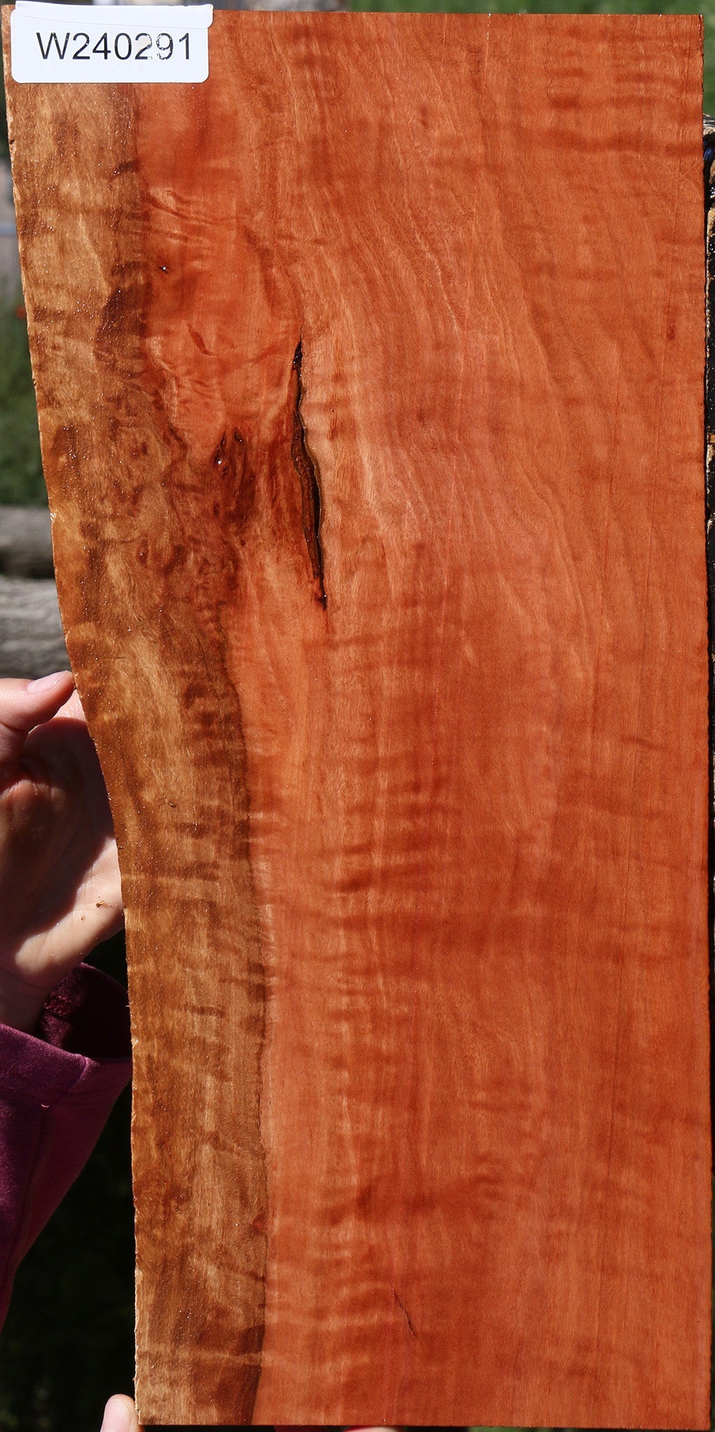Red Gum Live Edge Lumber