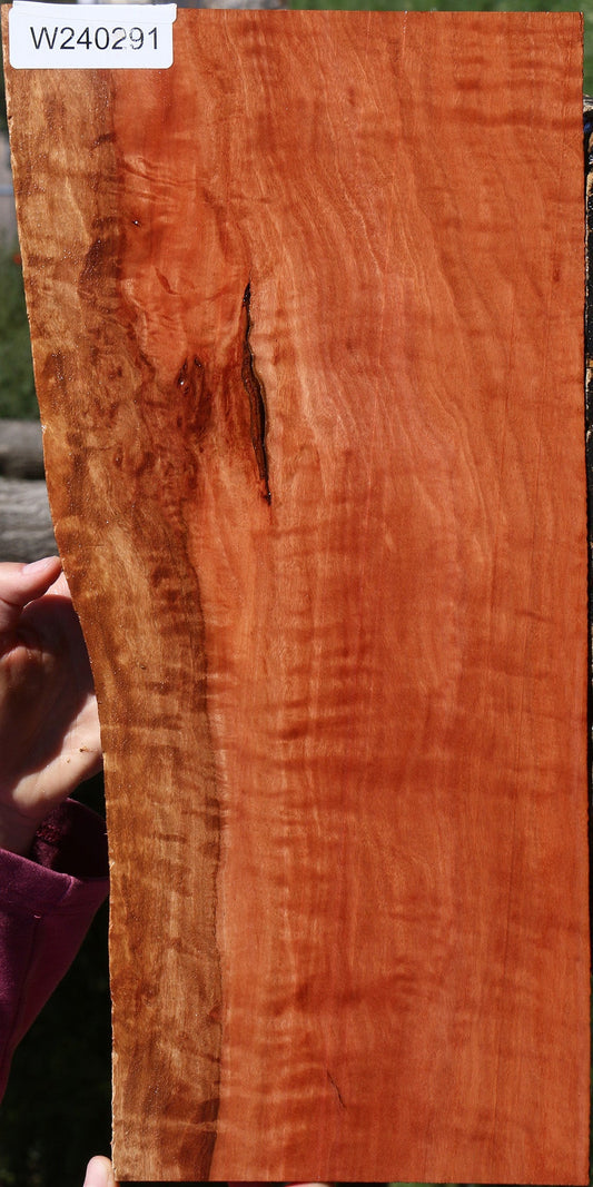 Red Gum Live Edge Lumber