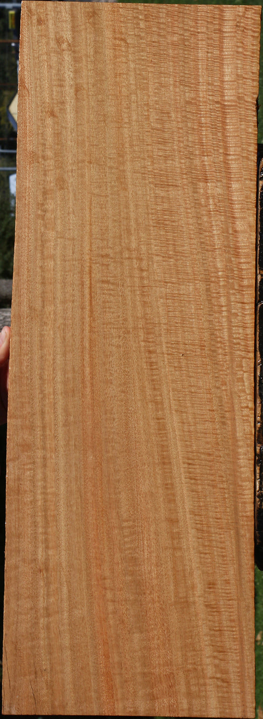 Extra Fancy Eucalyptus Lumber