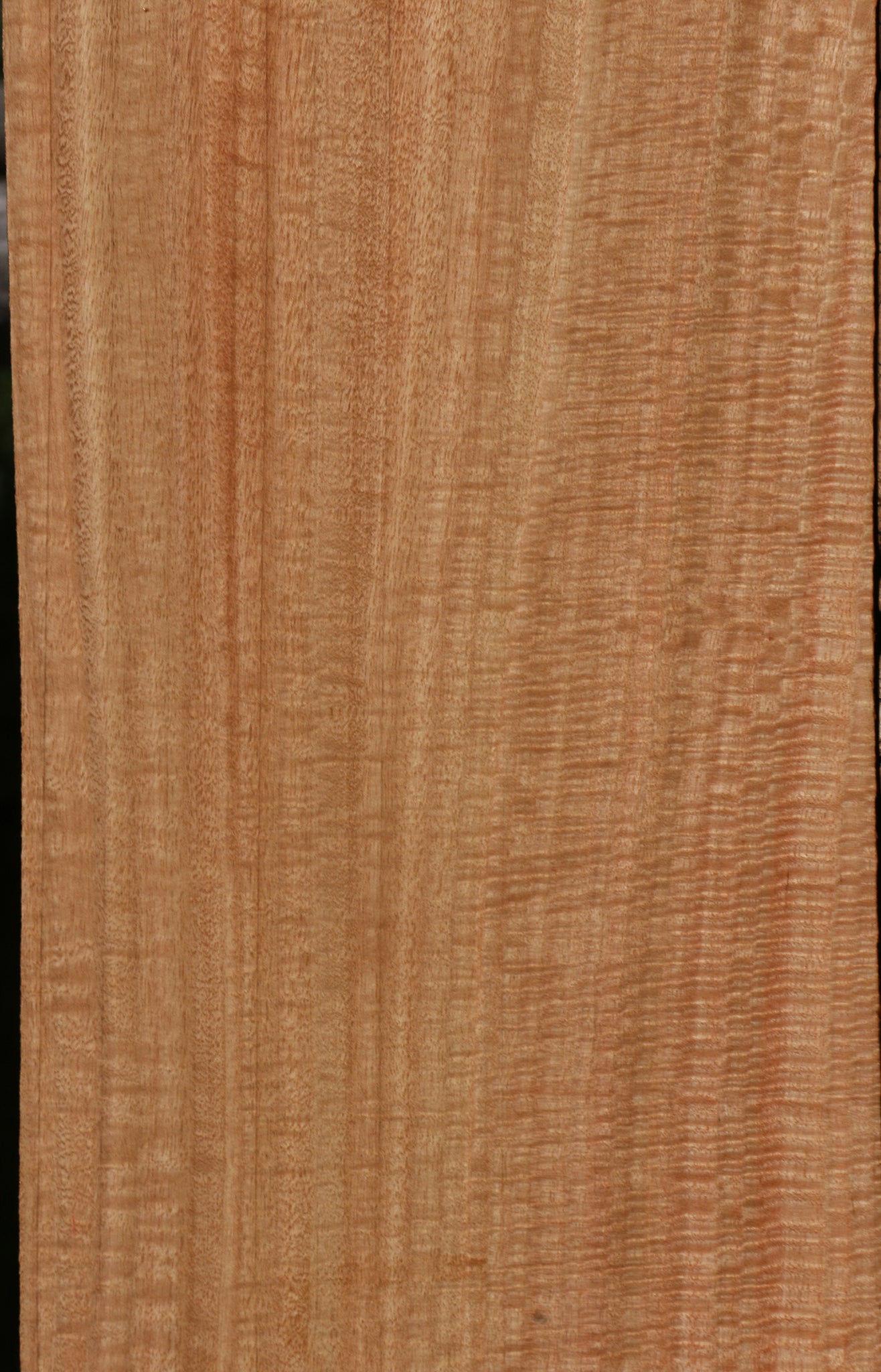 Extra Fancy Eucalyptus Lumber