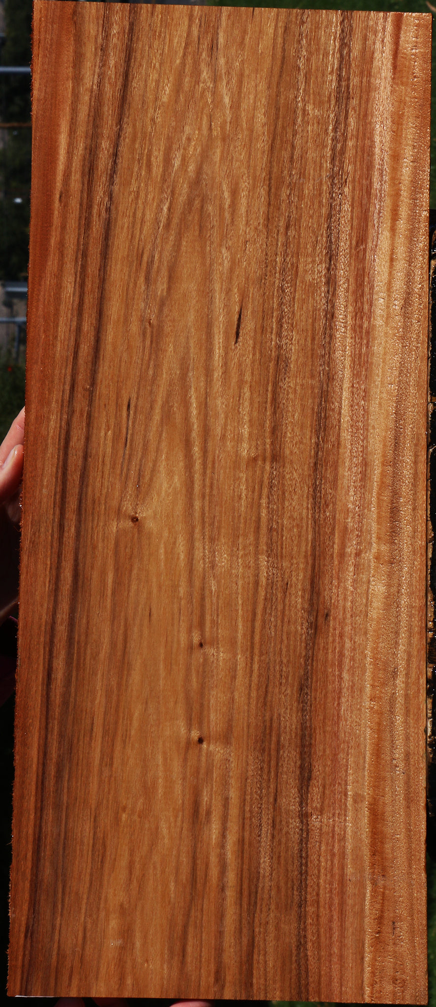 Patagonian Rosewood Lumber