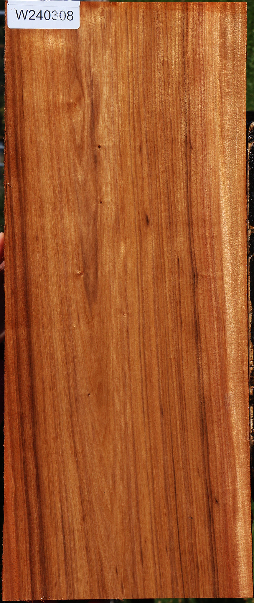 Patagonian Rosewood Lumber