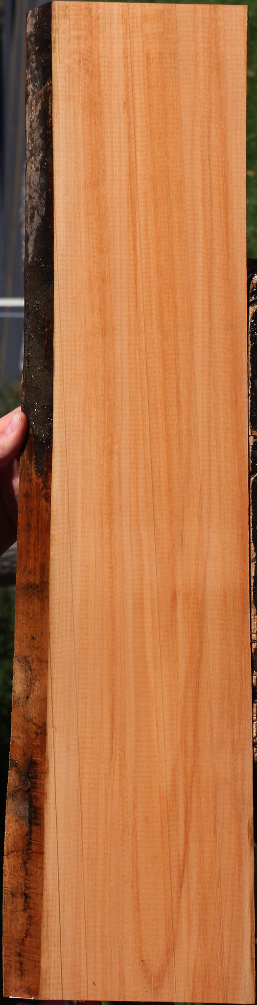 Swiss Pear Live Edge Lumber