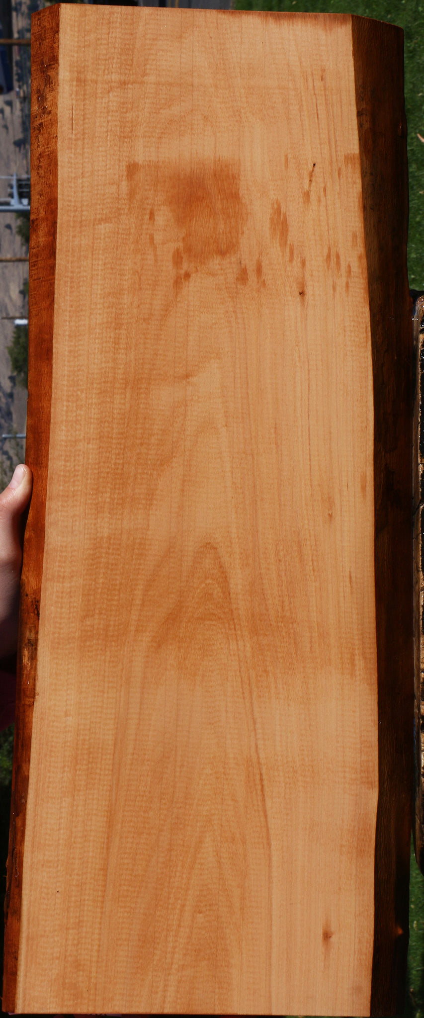 Swiss Pear Live Edge Lumber