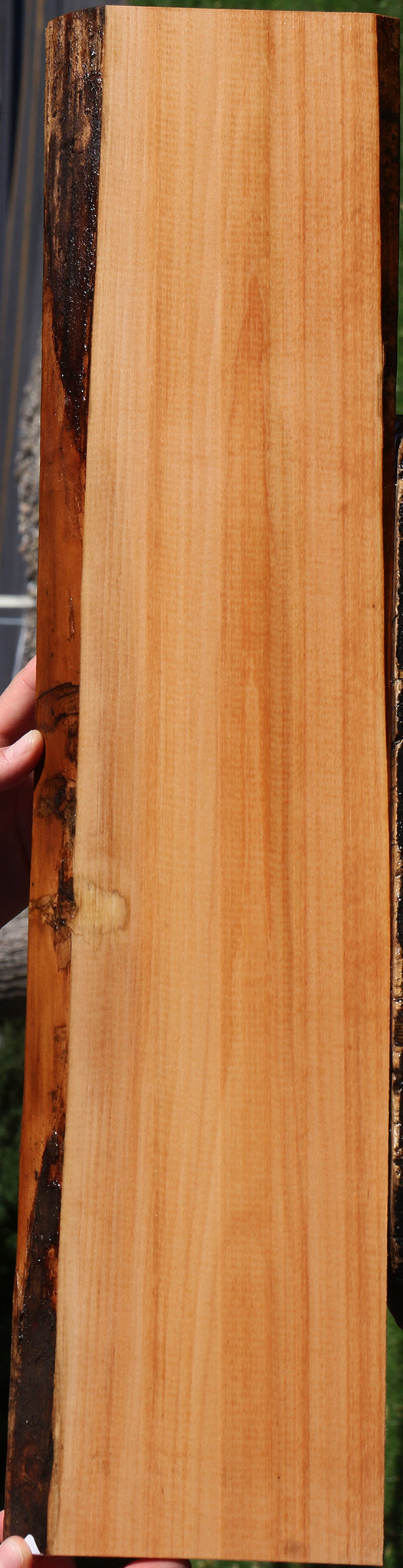 Swiss Pear Live Edge Lumber