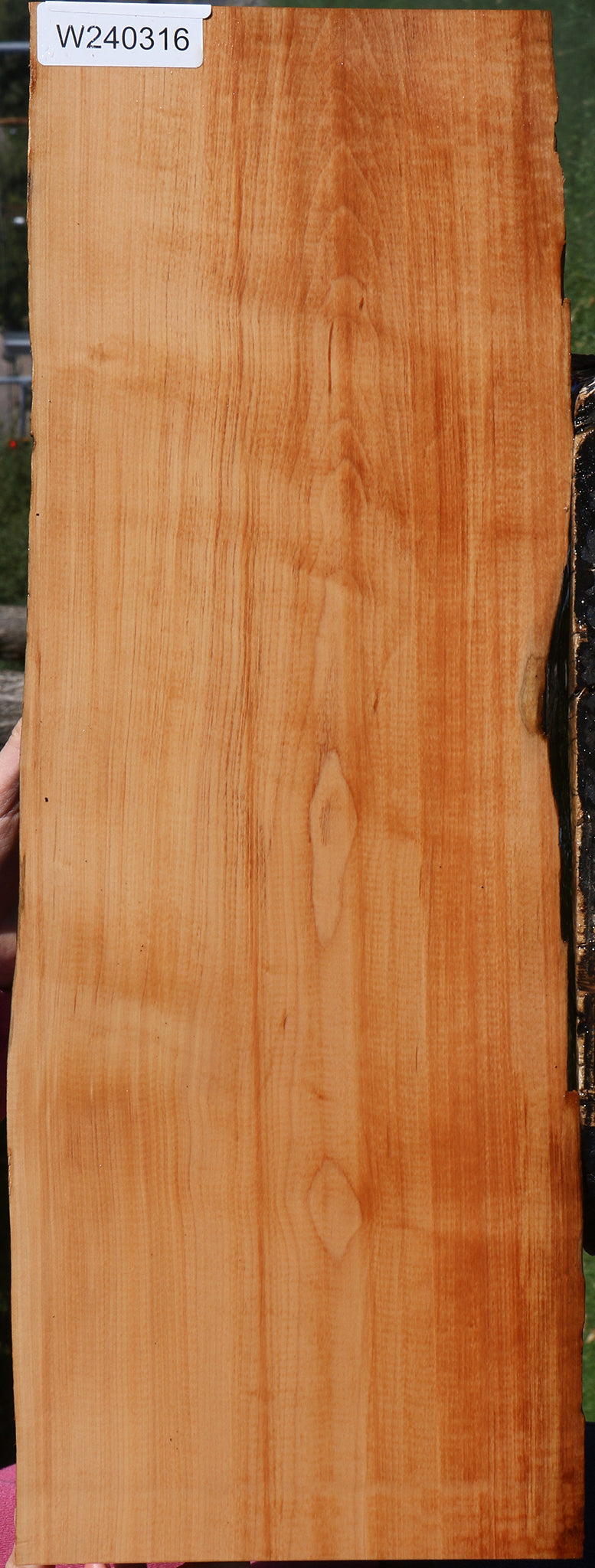 Swiss Pear Live Edge Lumber