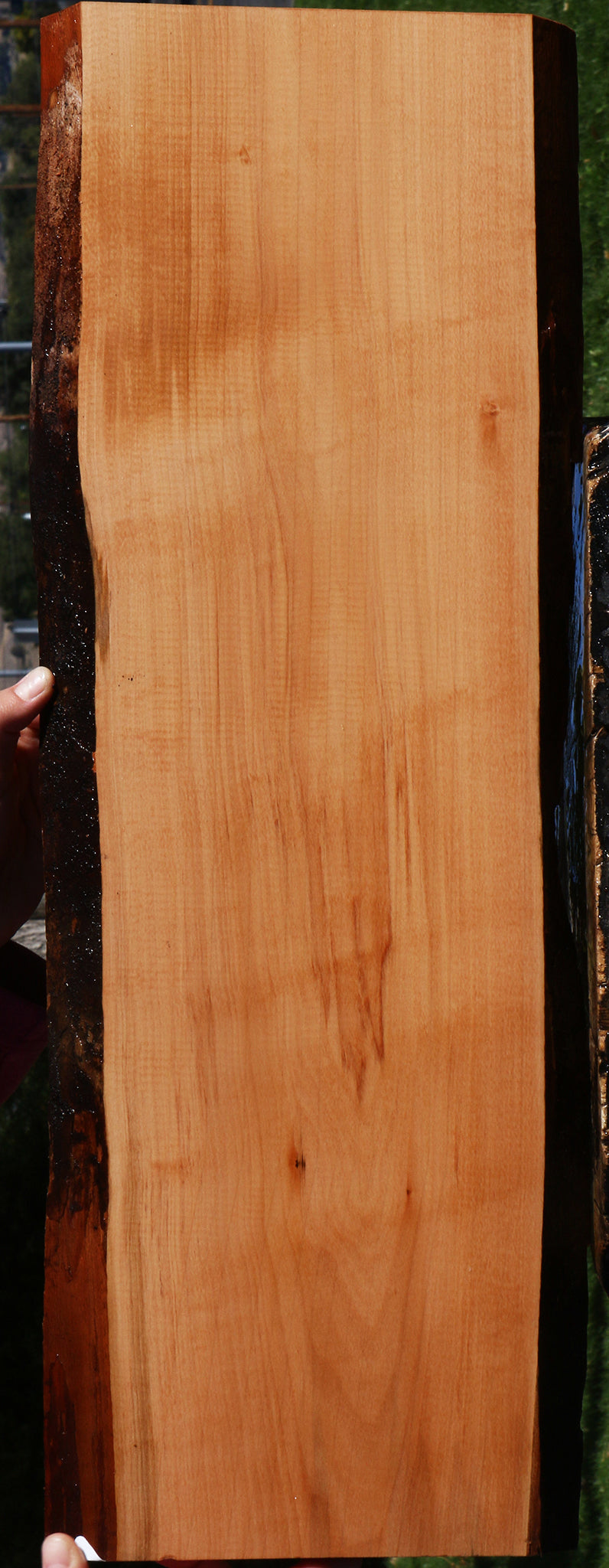 Swiss Pear Live Edge Lumber